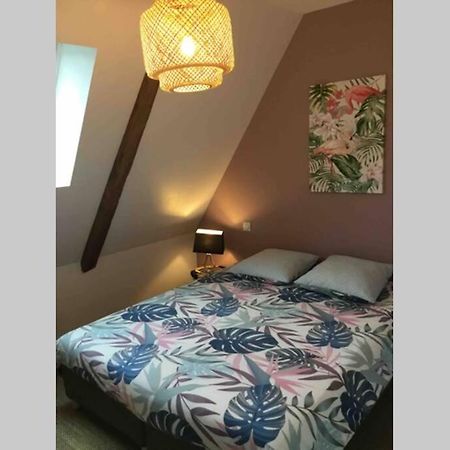 Appartement Dans Maison De 1789 Au Centre De Vitre Exteriör bild